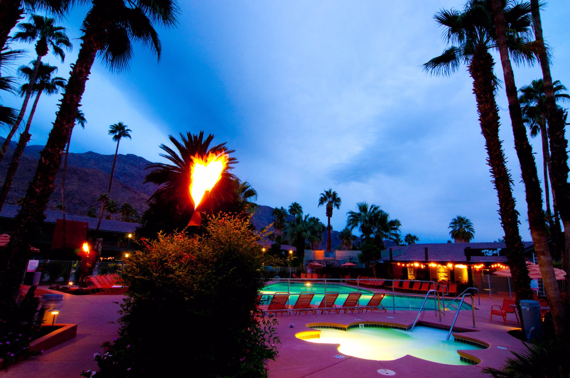 Hotel photo 68 of Caliente Tropics Resort.