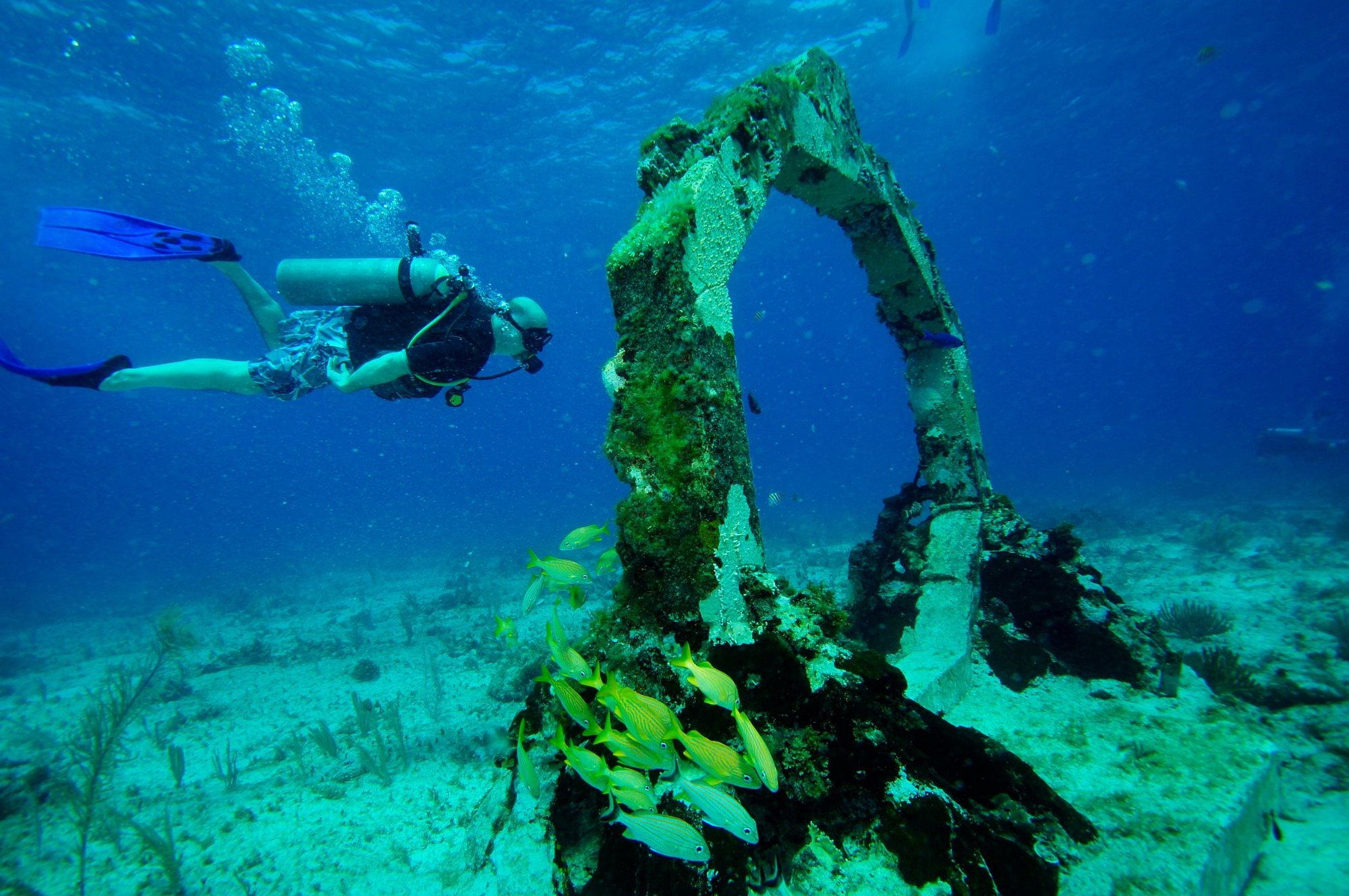 caribbean safaris scuba diving cancun