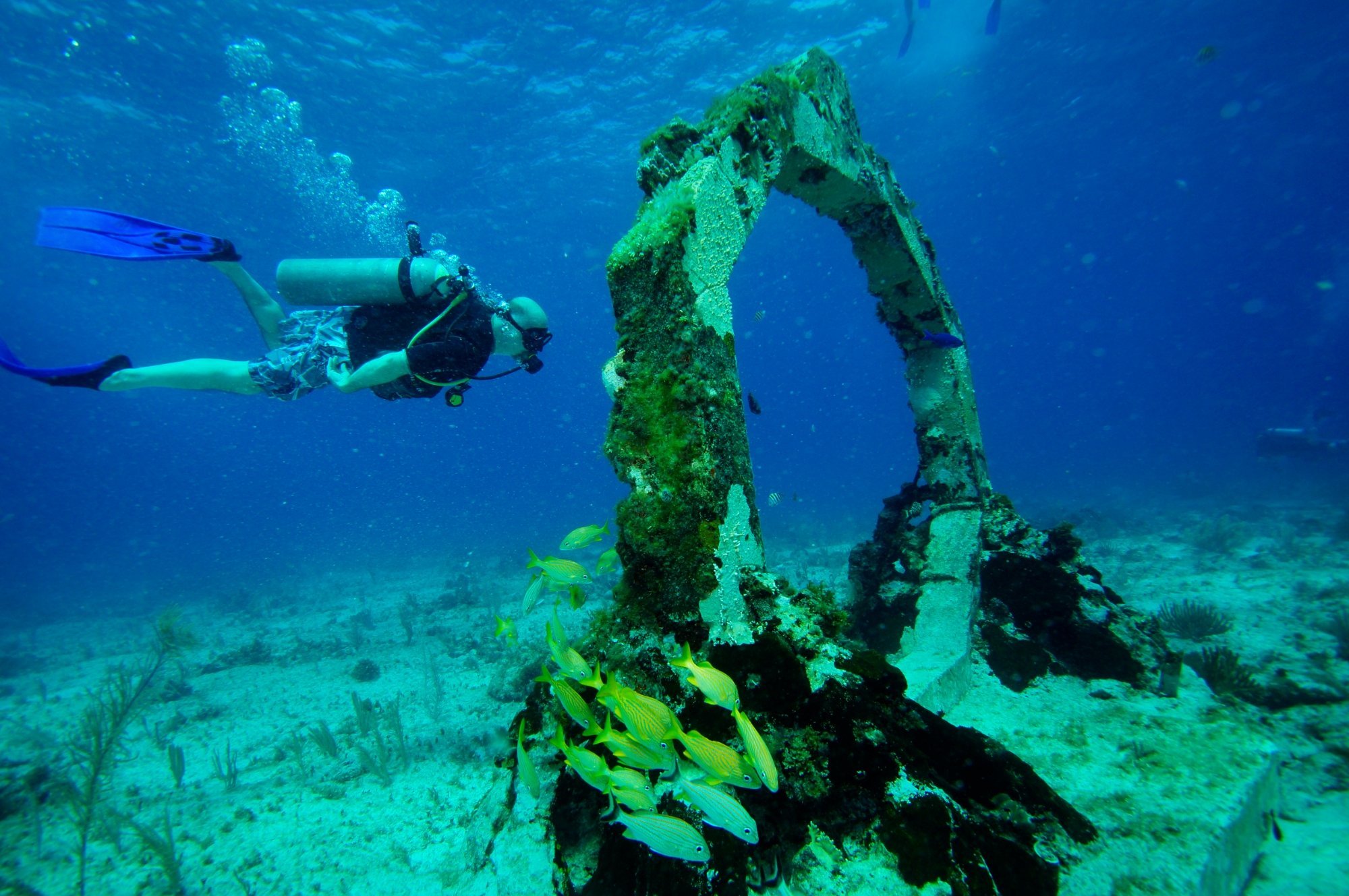 caribbean safaris scuba diving cancun