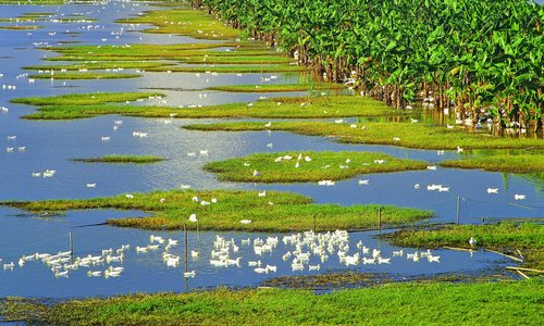 Zhongshan waterland