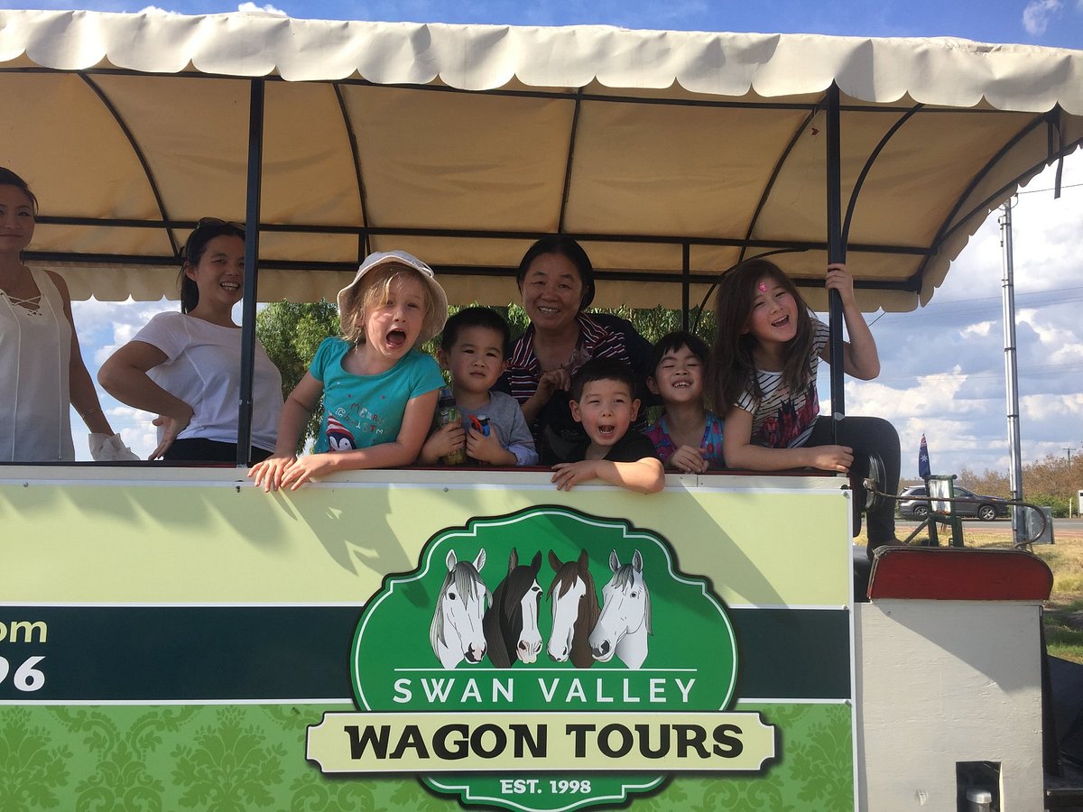 swan valley wagon tours reviews