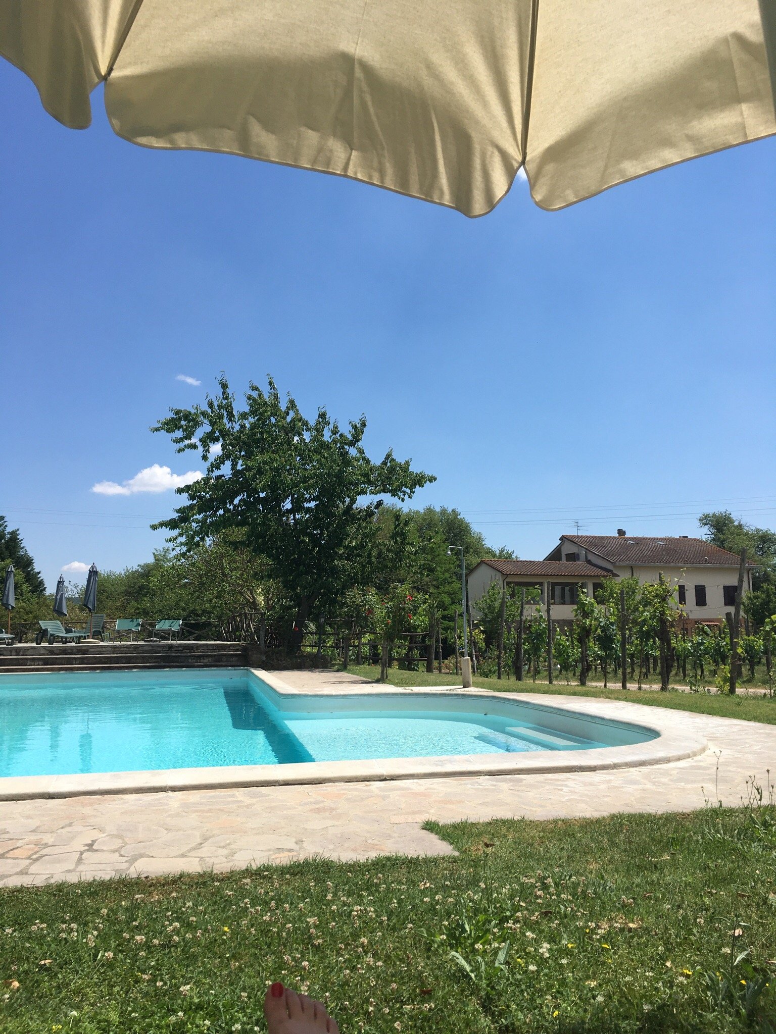 BORGO NUOVO SAN MARTINO Prices Ranch Reviews Arezzo