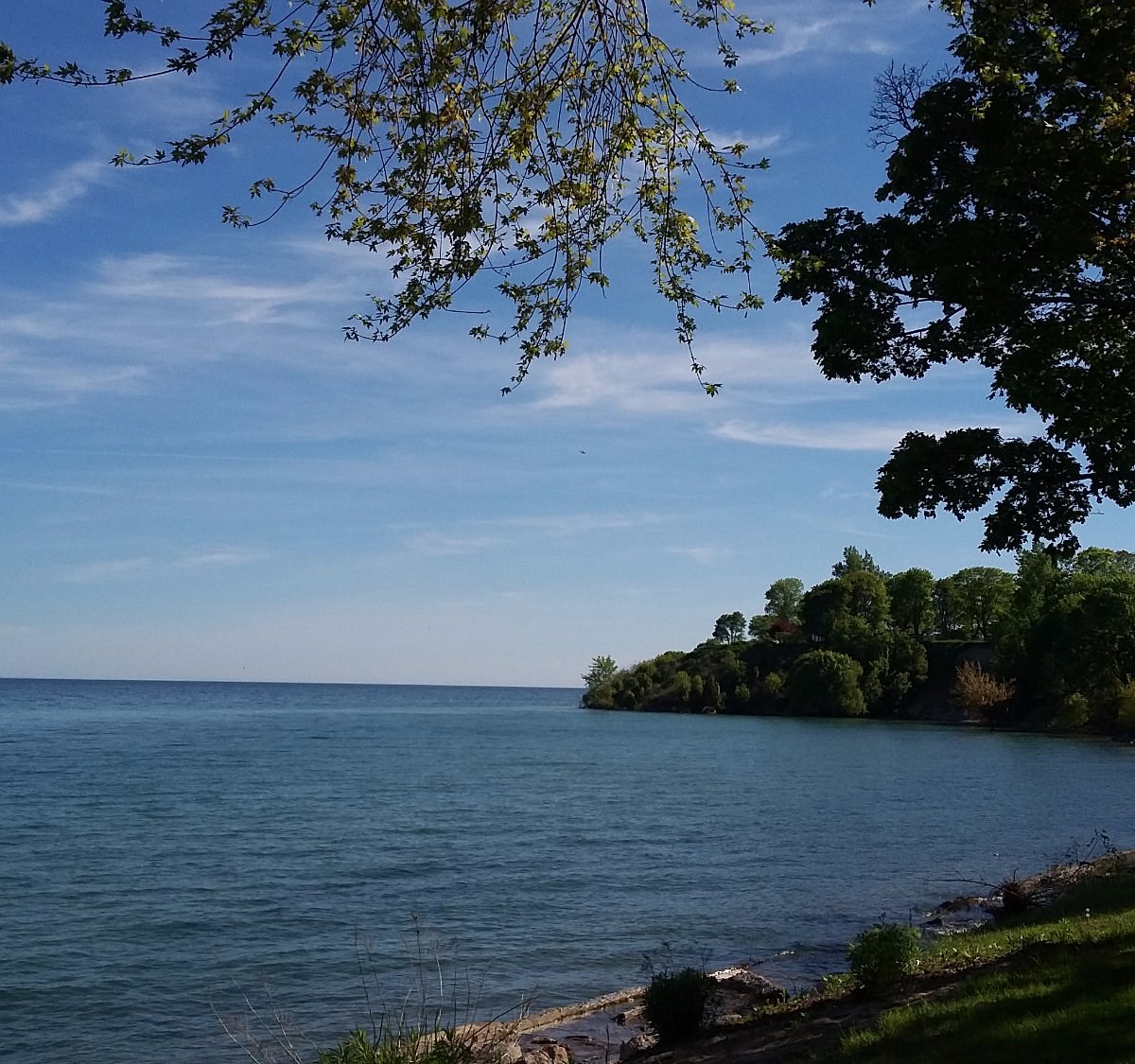 2024年 Lakeview Park 出発前に知っておくべきことすべて トリップアドバイザー 2024年 Lakeview Park 出発前に知っておくべきことすべて トリップアドバイザー