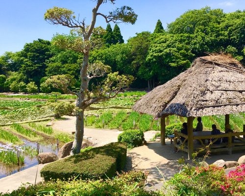 山口县10 大公园与自然景点 Tripadvisor