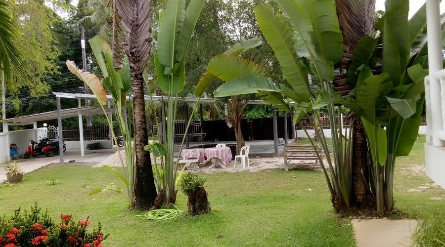 Beautiful garden