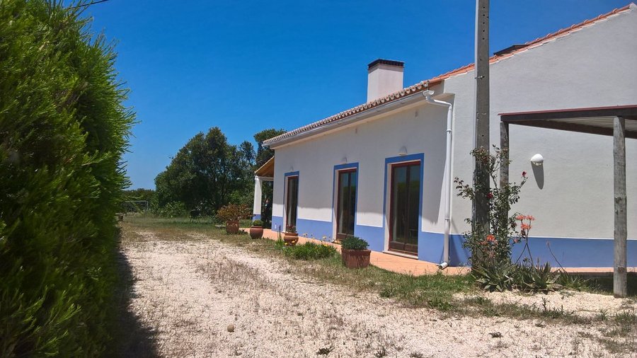 Quintinha Mojud