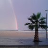 Alba M