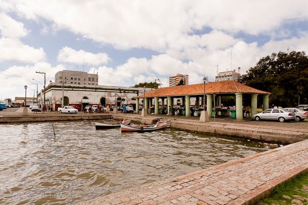 Mercado do porto