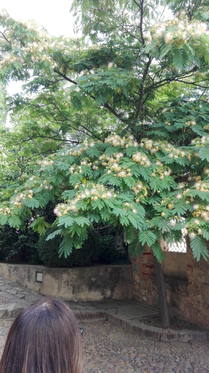 Imagen 10 de Jardín de la Galera