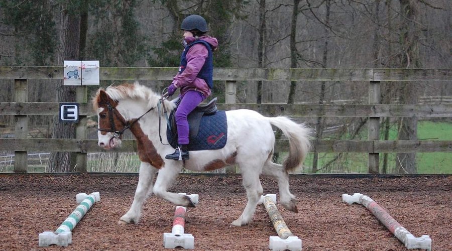 Pony Club