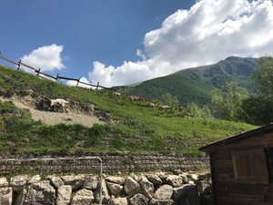 Viaggiatori