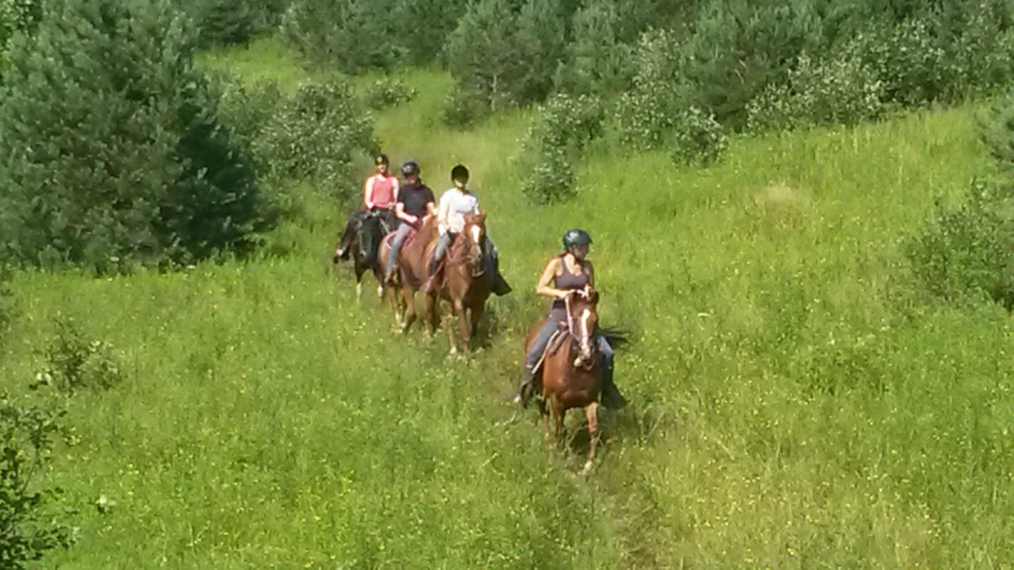 THE 10 BEST Ontario Horseback Riding Tours 2024 Tripadvisor   Ride On Your Own Private 