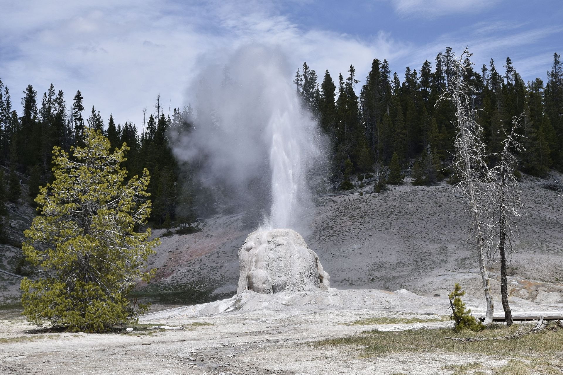 Lone Star Geyser All You Need to Know BEFORE You Go 2024