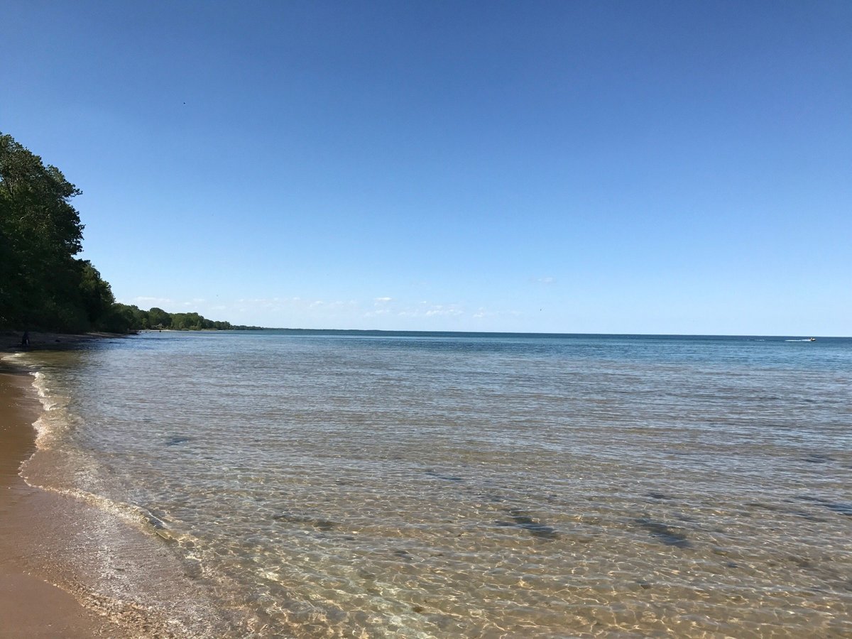 are dogs allowed at harrington beach state park