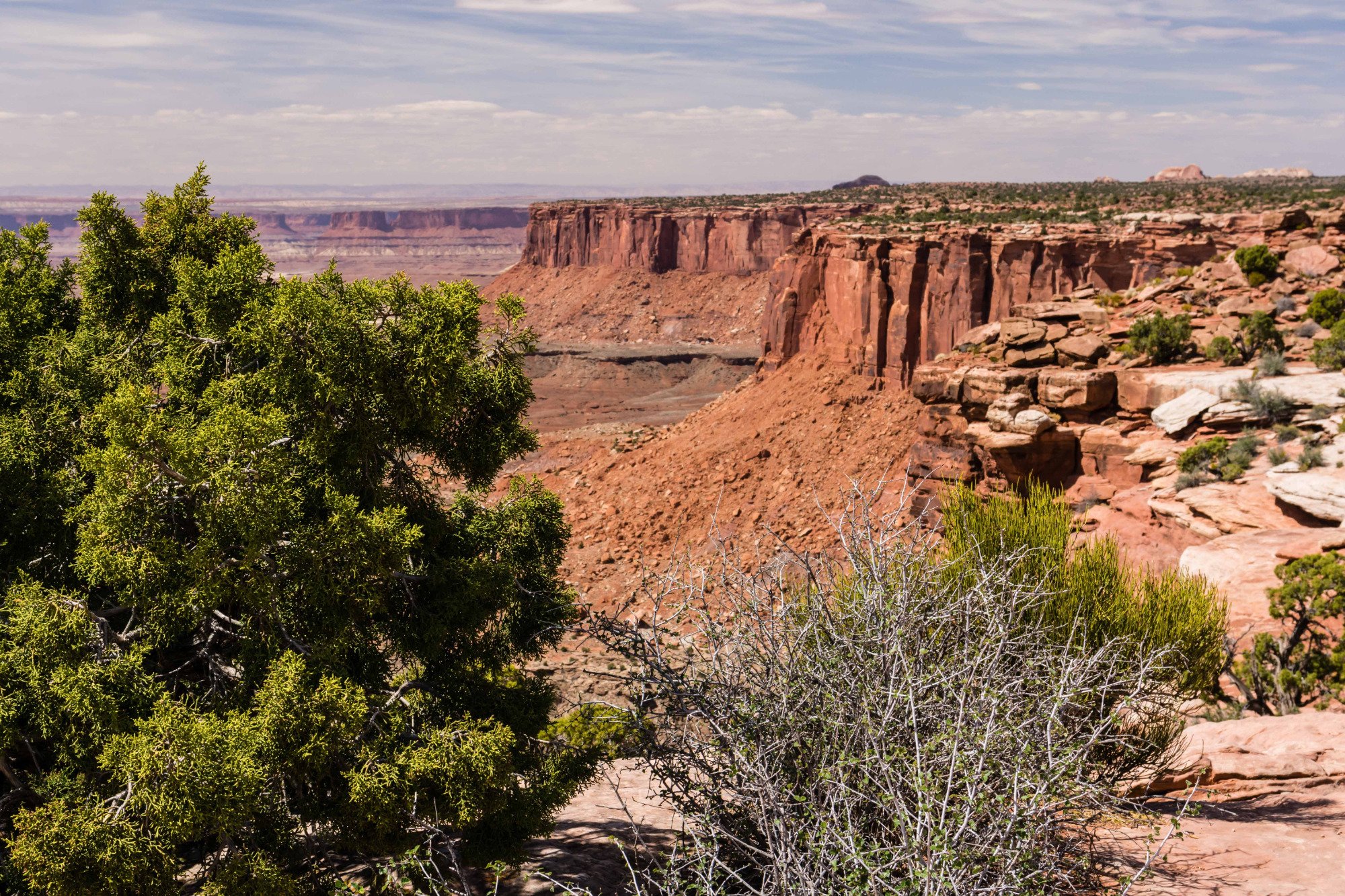 Orange Cliffs Overlook (Parque Nacional Canyonlands) - 2023 Lo Que Se ...