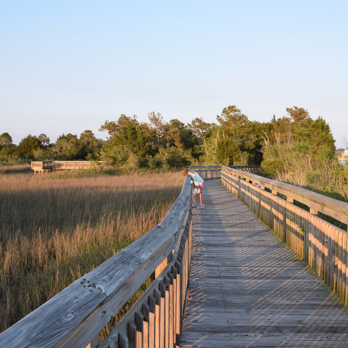 HERITAGE SHORES NATURE PRESERVE (Myrtle Beach Nord): Ce qu’il faut savoir