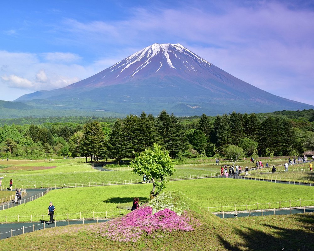 the-10-best-things-to-do-in-japan-2022-with-photos-tripadvisor