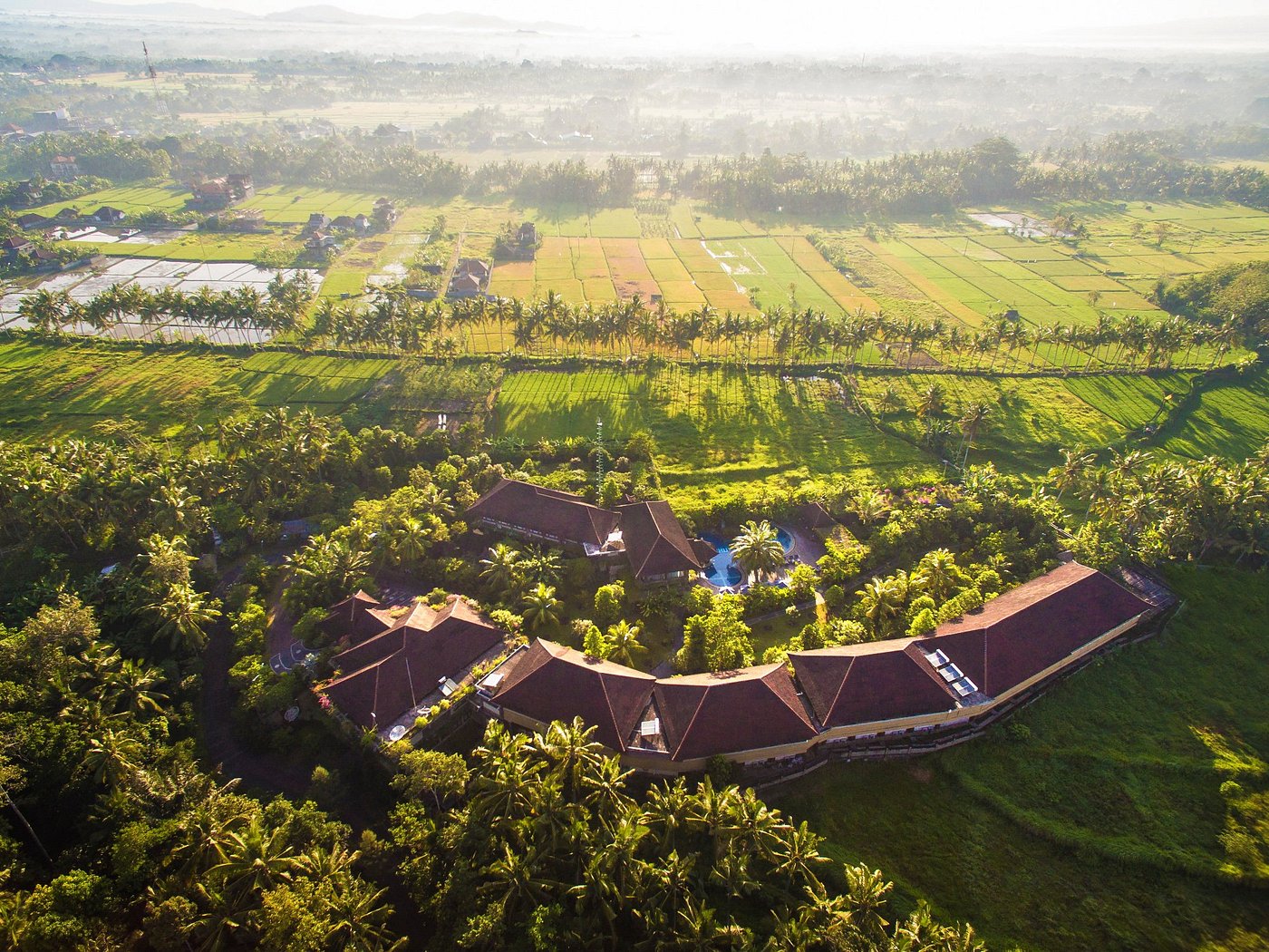 Бали дача. Бали дача Убуд. Cretya Ubud.