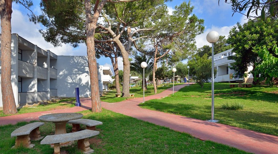 Jardin