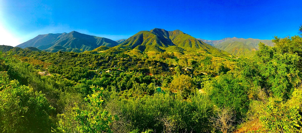 Ojai Olive Oil All You Need to Know BEFORE You Go (with Photos)