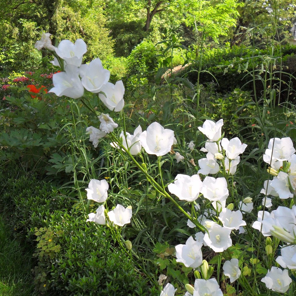 Jardin des Plantes - All You Need to Know BEFORE You Go (2024)