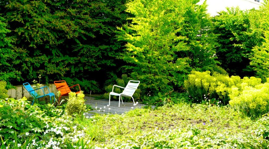 Le jardin.