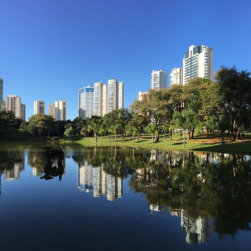 10 lugares em Goiânia para praticar yoga em contato com a natureza - Curta  Mais - Goiânia