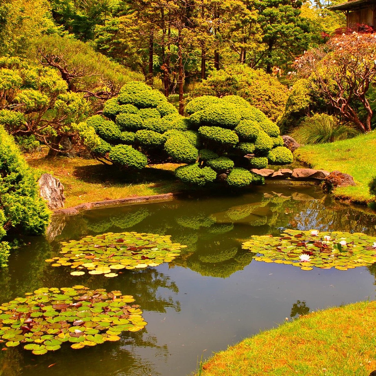 japanese tea garden tours