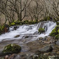 Arroyo de Silencio