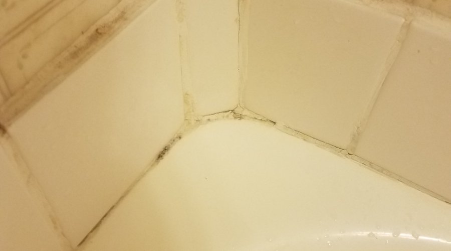 mold and mildew in the shower