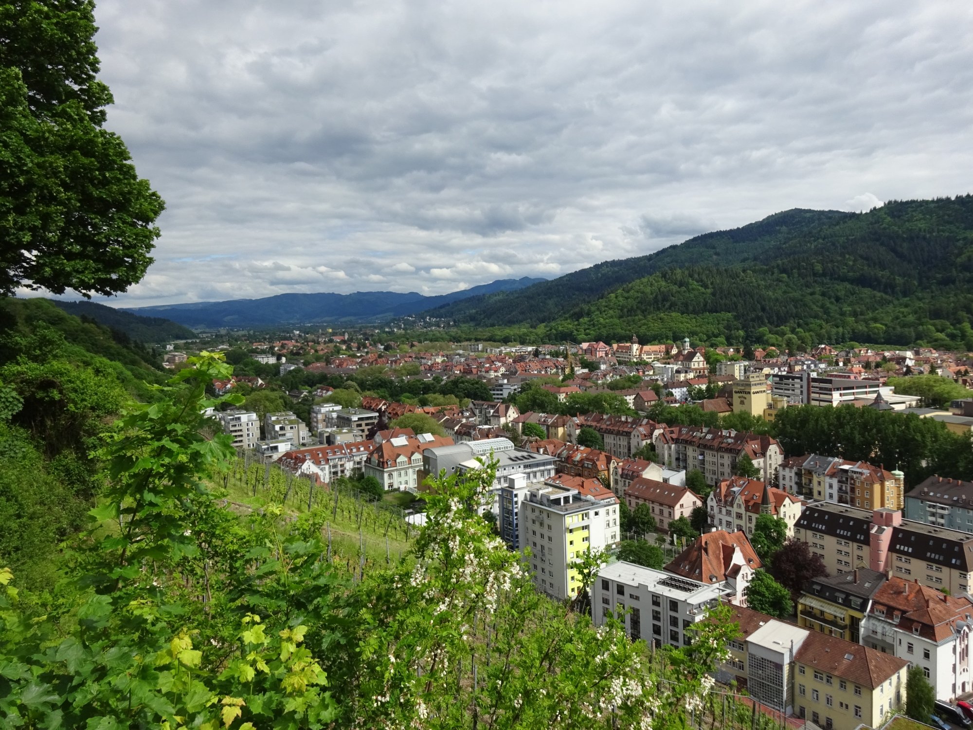 Freiburg Im Breisgau, Germany 2023: Best Places To Visit - Tripadvisor