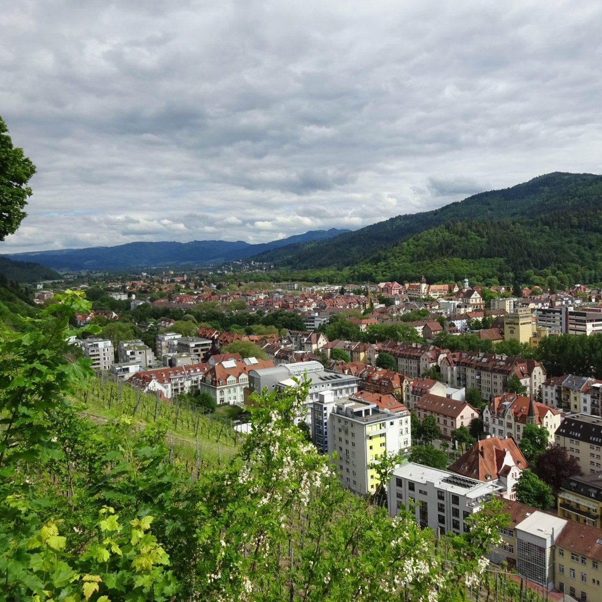 SCHLOSSBERG (Fribourg): Ce qu'il faut savoir pour votre visite 2022