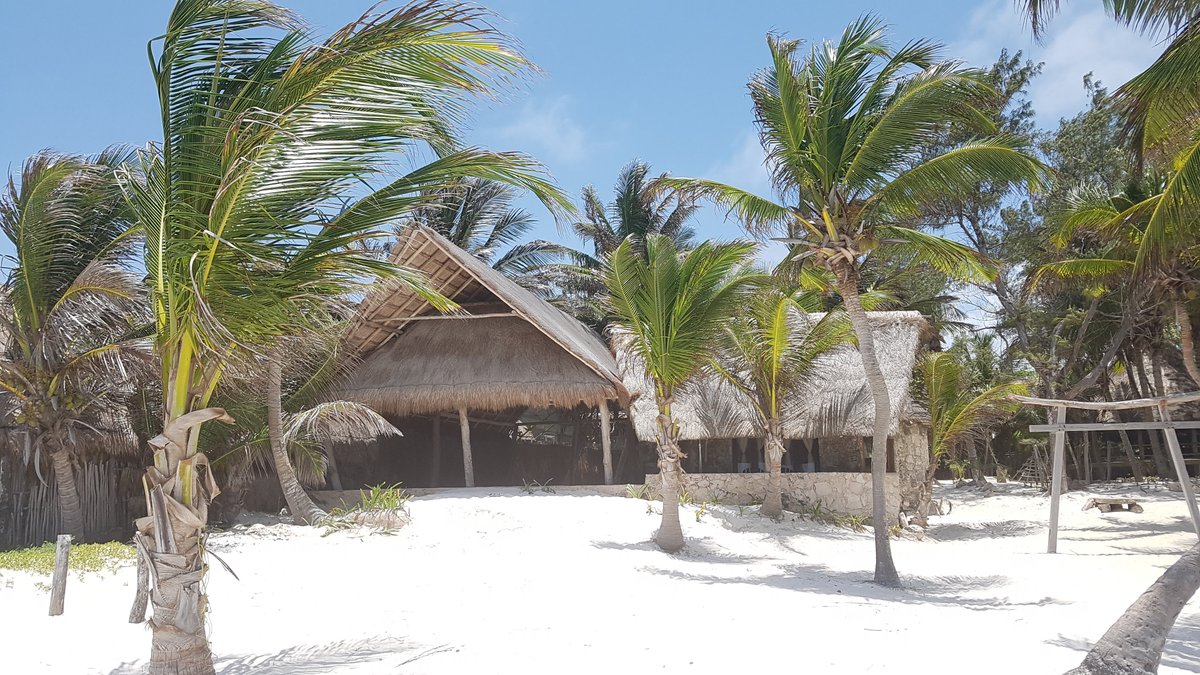 TOLOK TULUM: Reviews (Mexico) - Photos of Hotel - Tripadvisor