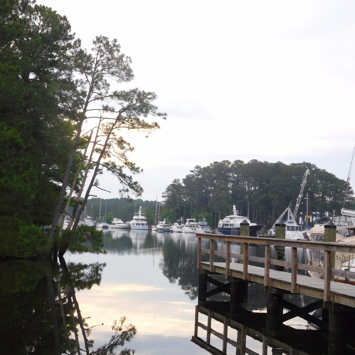 Great Bridge Lock Park Chesapeake All You Need To Know