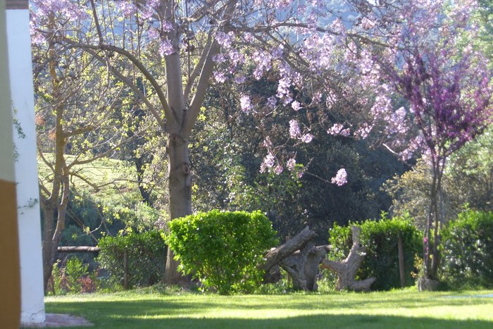 Imagen 12 de Batán de Las Monjas