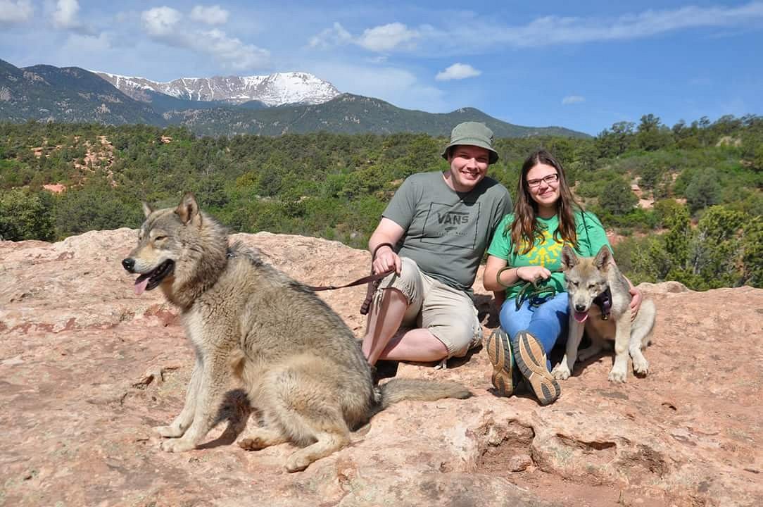 colorado wolf adventures tours