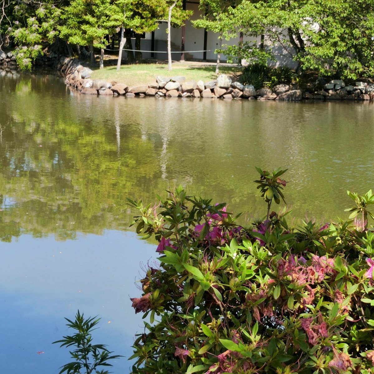 Ruins Of Kuwana Castle Kyuka Park 桑名市 旅游景点点评 Tripadvisor