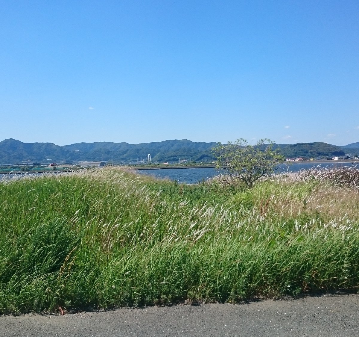 Mikawa Coastal Area (Nipponretto} (2025) All You Need to Know BEFORE