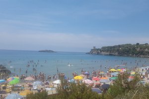Pool & Beach