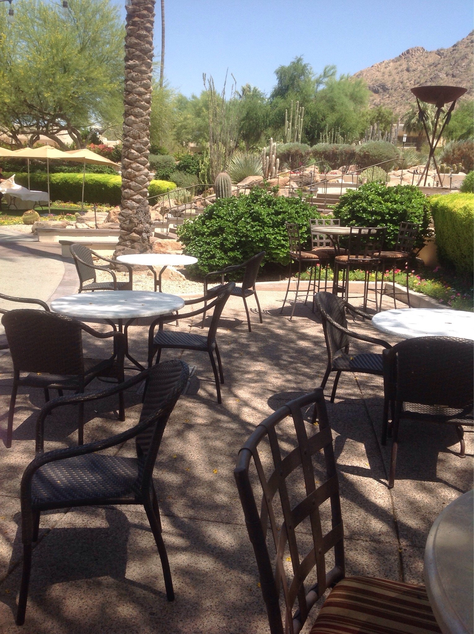 THE 10 BEST Restaurants In Scottsdale Updated January 2024   Nice Outdoor Seating 