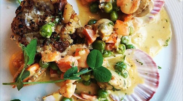 Singing Scallops