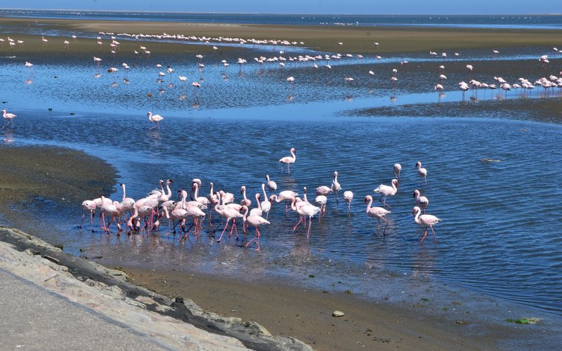 THE 10 BEST Things to Do in Walvis Bay - 2021 (with Photos) - Tripadvisor