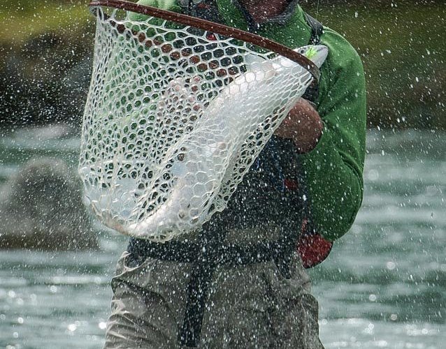 Fly fishing for Pink Salmon with Zach from Fly Guides in Haines, Alaska -  Picture of Fly Guides, Haines - Tripadvisor