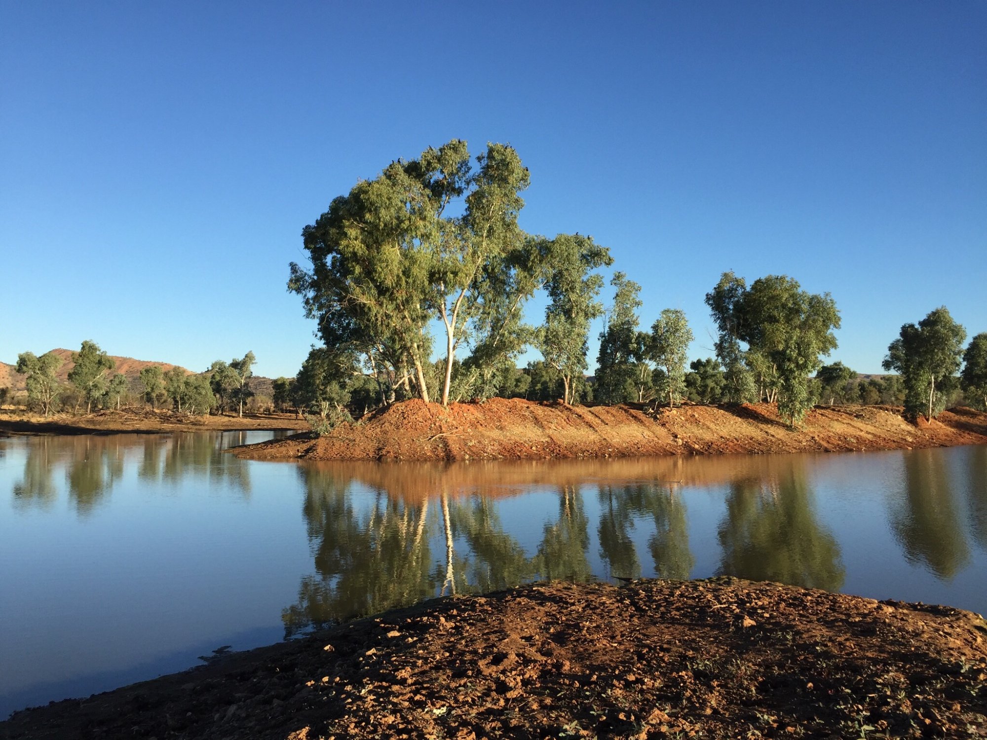 HALE RIVER HOMESTEAD B&B (Alice Springs, Australia): Prezzi 2022 E ...