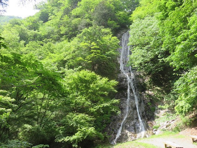 21年 丸神の滝 行く前に 見どころをチェック トリップアドバイザー