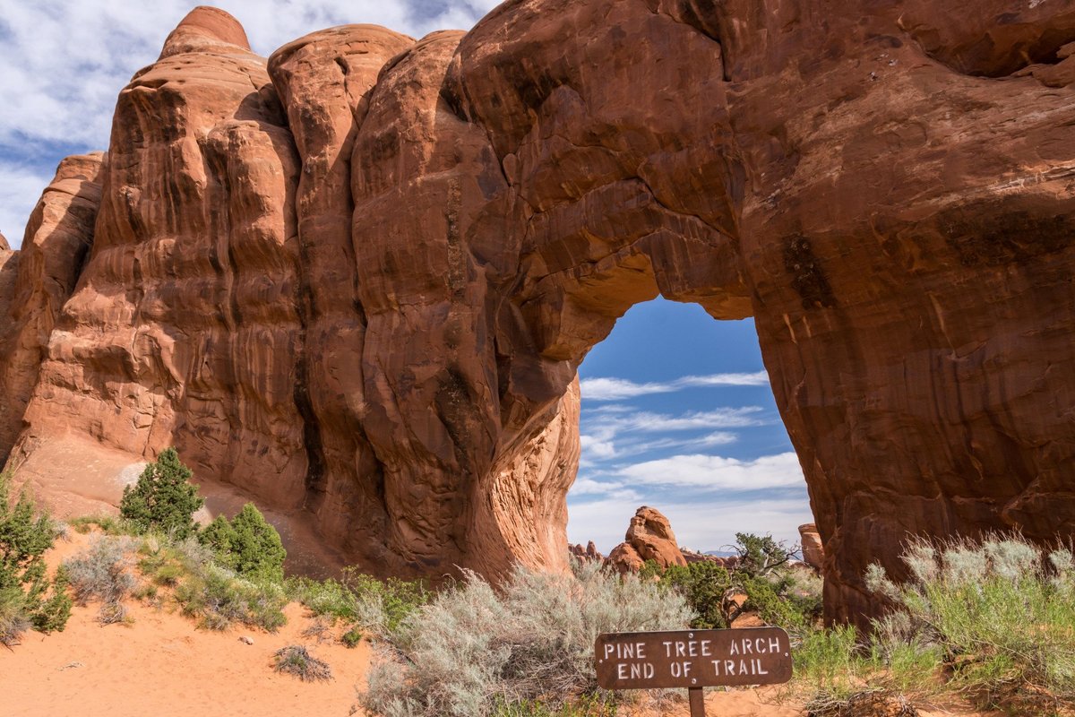 Pine Tree Arch (Arches National Park) - All You Need to Know BEFORE You Go