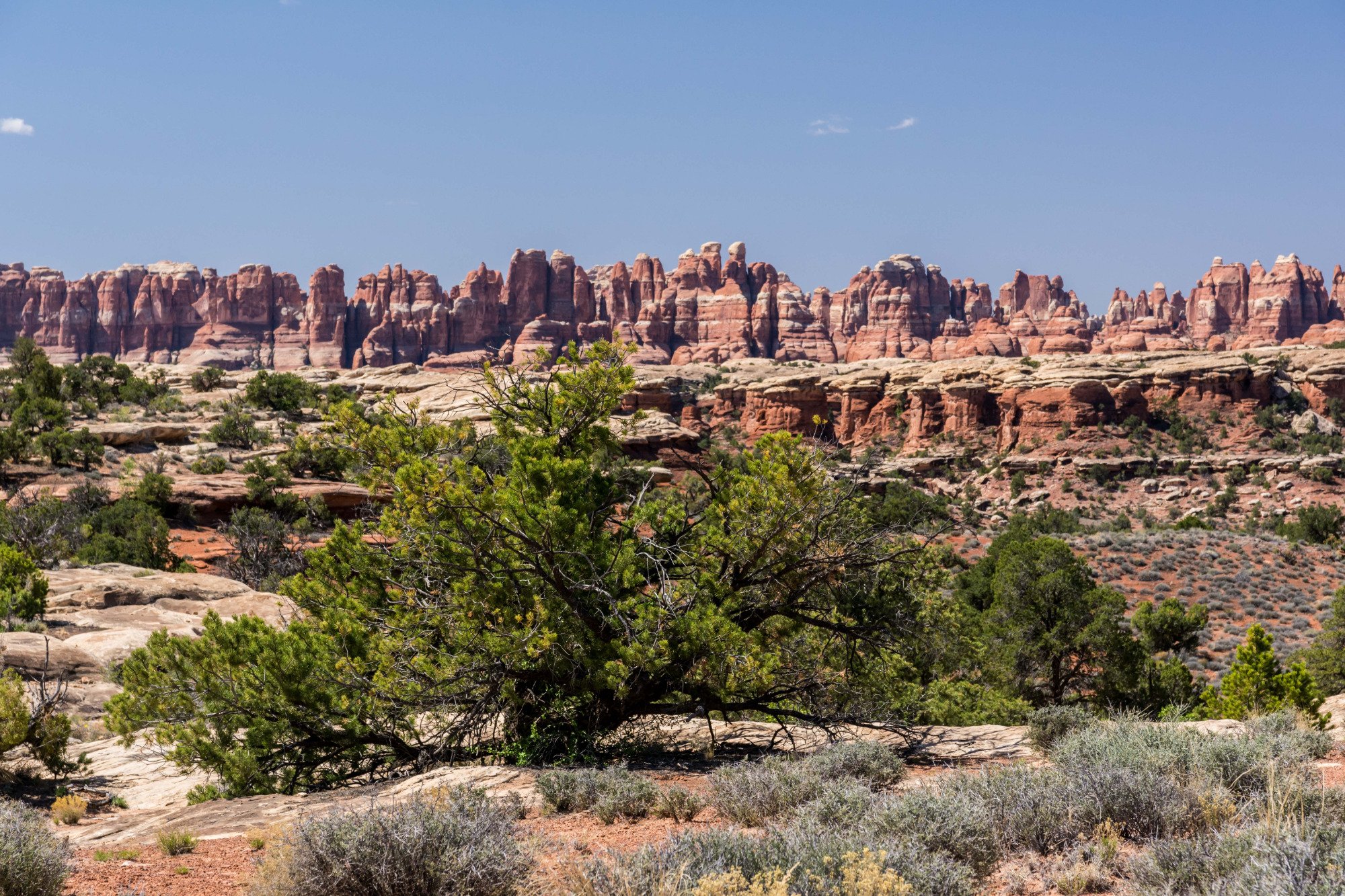 Elephant Hill (Parque Nacional Canyonlands) - 2022 Lo Que Se Debe Saber ...