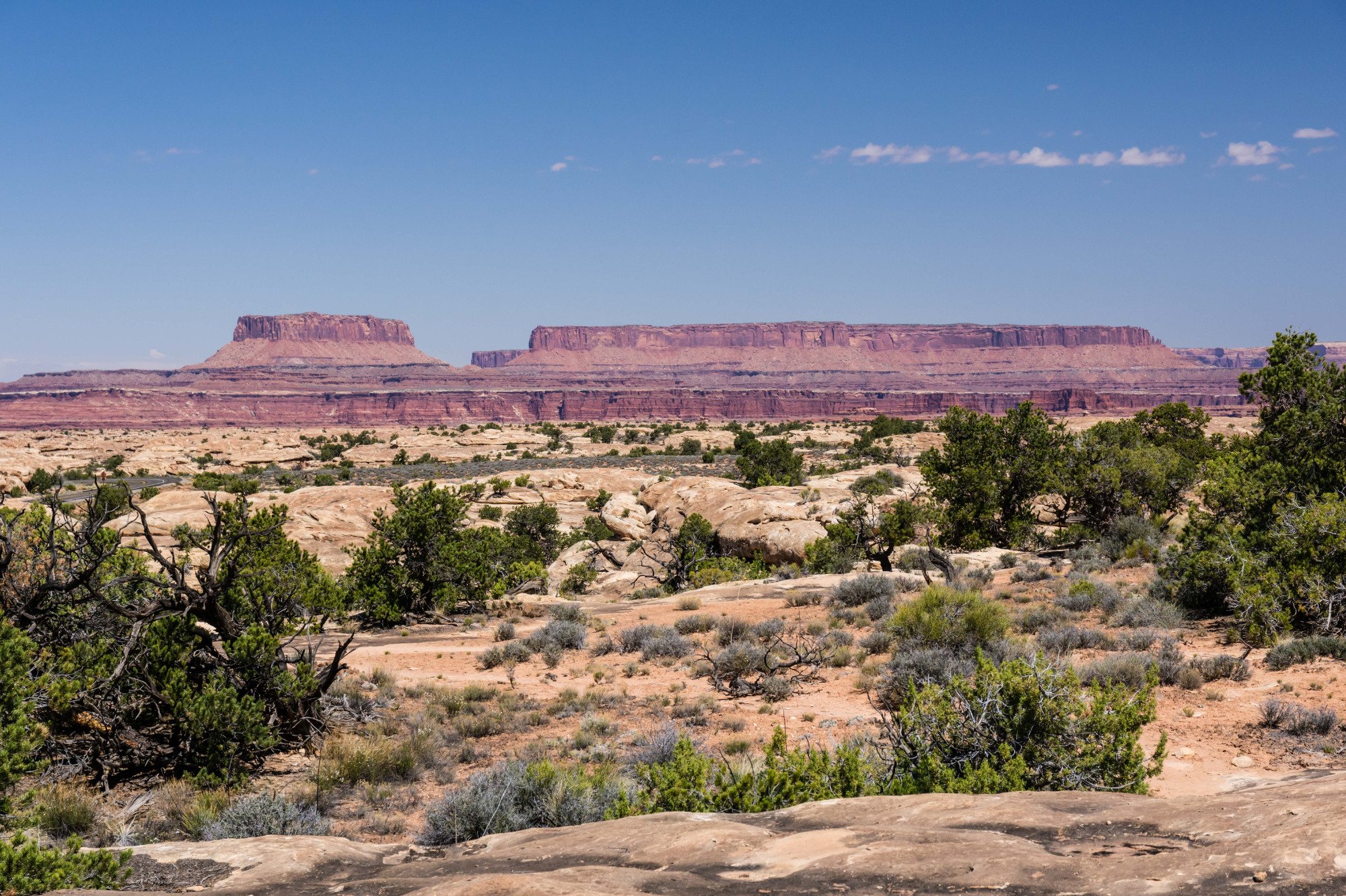 Pothole Point Trail (Parque Nacional Canyonlands) - 2022 Lo Que Se Debe ...