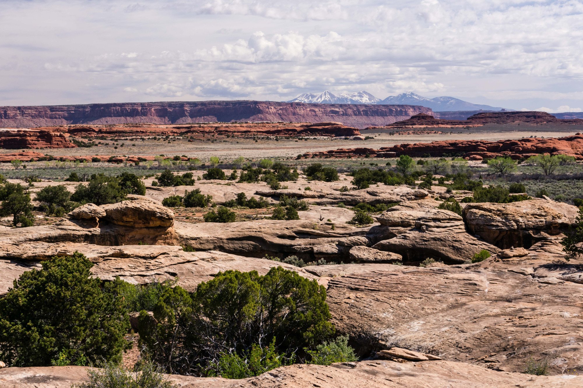 Cave Spring (Parque Nacional Canyonlands) - 2023 Lo Que Se Debe Saber ...