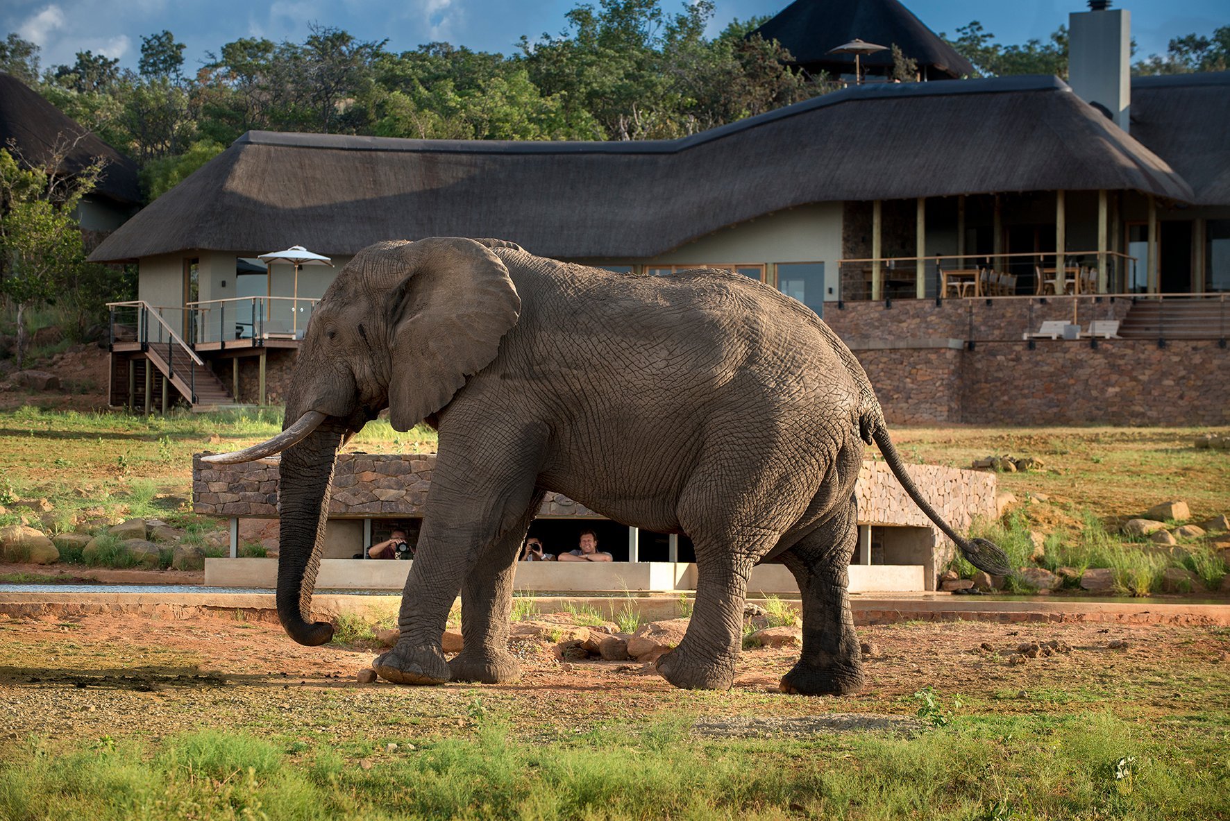 Mhondoro Safari Lodge & Villa by null